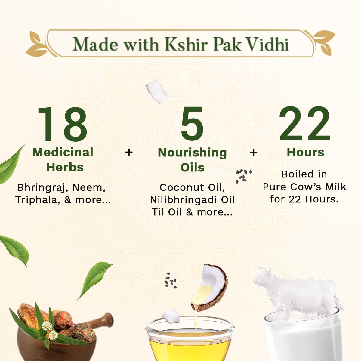 SESA Ayurvedic Hair Oil 100Ml +Shampoo 50Ml
